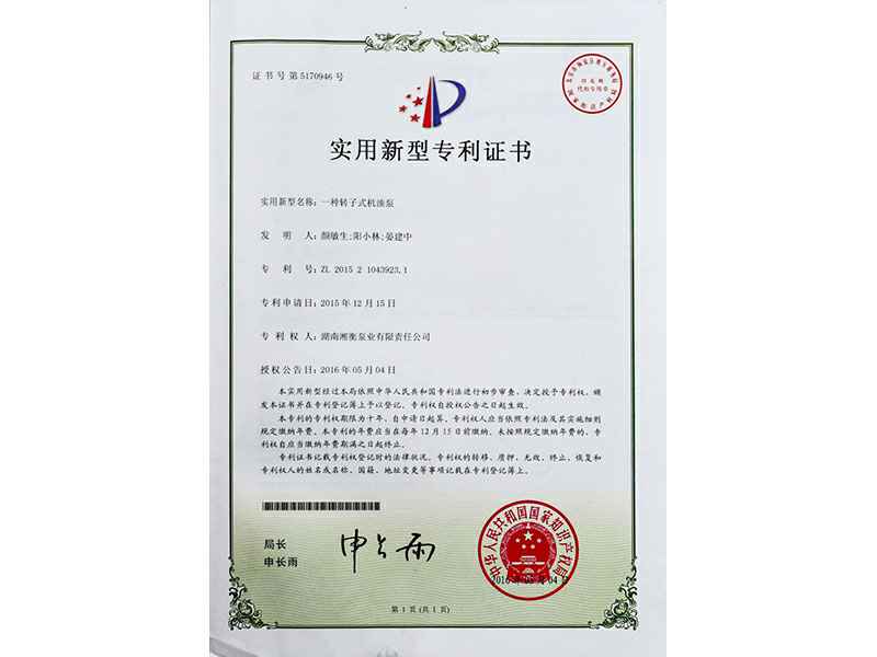 湖南石家庄鸿飞注册代理有限公司专利